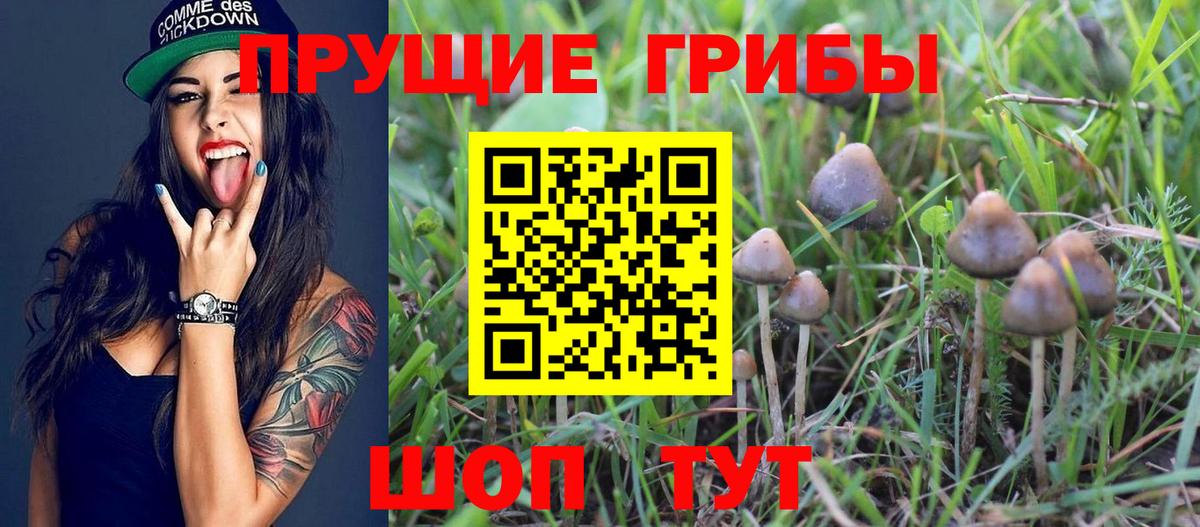 Галлюциногенные грибы мухоморы  Вход с VPN  Ирбит  Псилоцибиновые грибы Magic Shrooms 