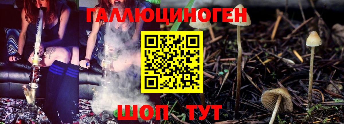 Псилоцибиновые грибы прущие грибы Ирбит